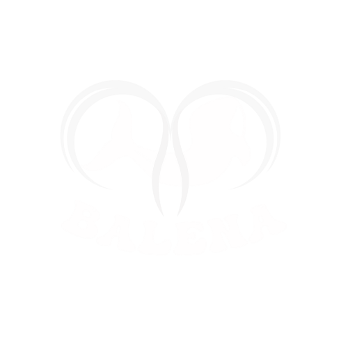 Balena Store